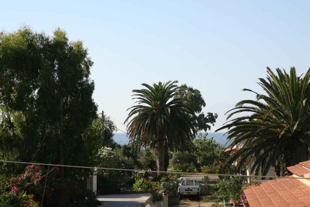 Feeloxenia Corfu Apartments Acharavi  Dış mekan fotoğraf
